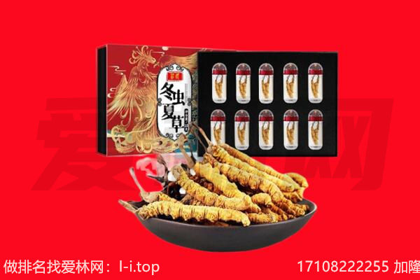 鄂尔多斯鄂托克前旗回收虫草.jpg